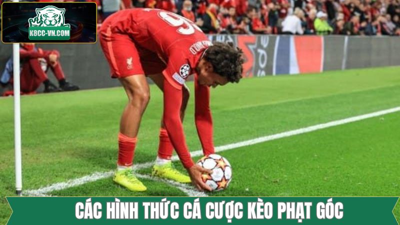 Kèo Tài Xỉu Corner phổ biến tại K8cc