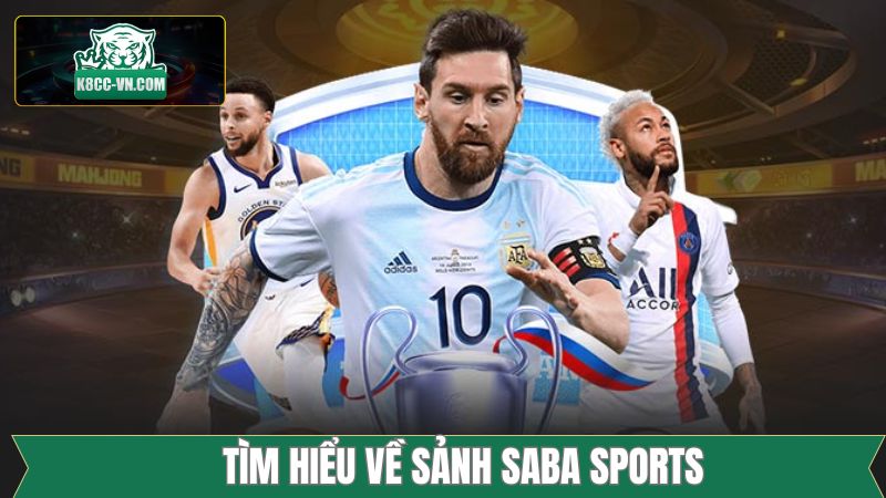 Thông tin nổi bật về sảnh thể thao chất lượng cao